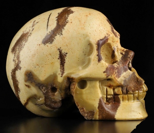 Outback Jasper Skull